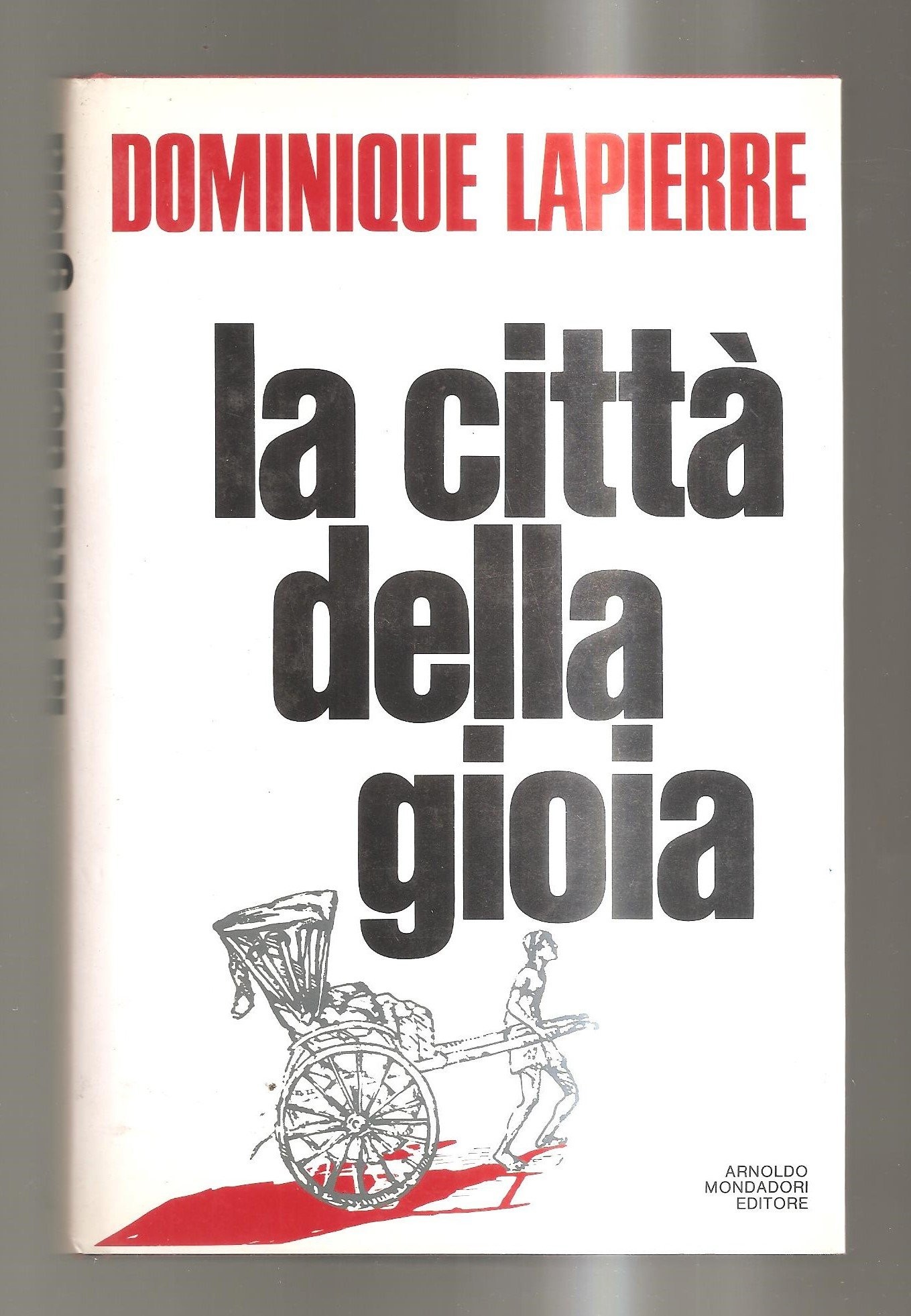 La città della gioia