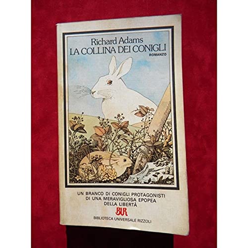La collina dei conigli