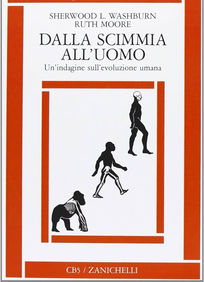Dalla scimmia all'uomo: un'indagine sull'evoluzione umana